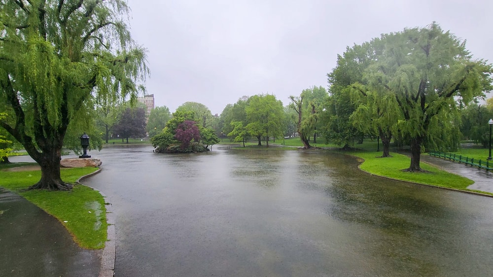 boston commons