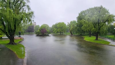boston commons